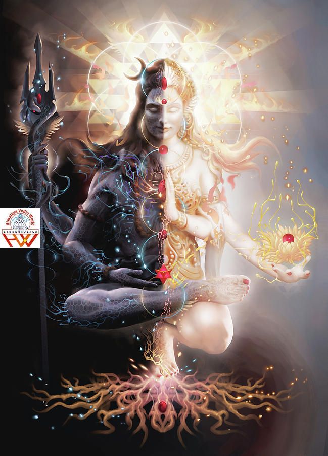 Shiva Shakti Puja and Homa (Shiv Shakti Yagya)